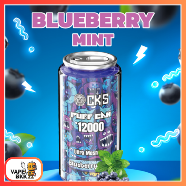 CKS CAN 12000 PUFFS 50 MG ชาร์จแบตได้ Blueberry Mint บลูเบอรี่มิ้น